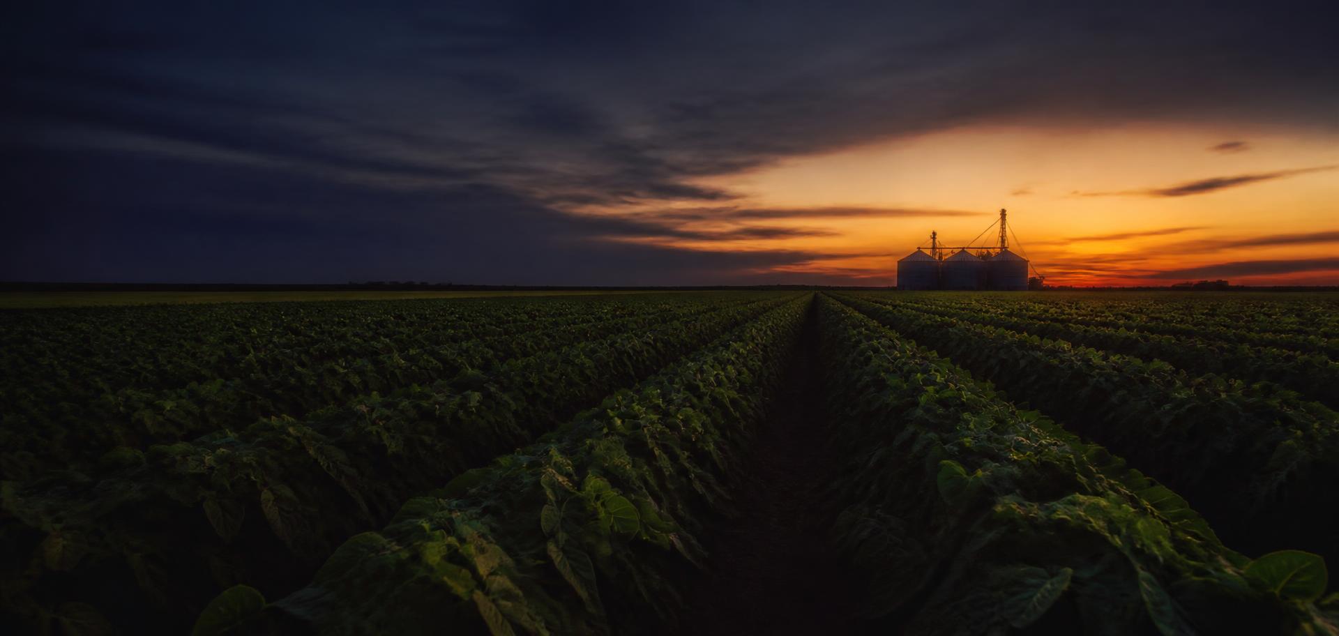 Brazilian farmland at dusk with grain silos on the horizon